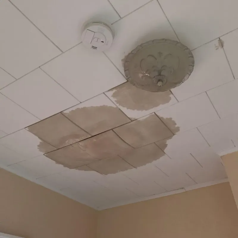 Ceiling Water Damage Repair in West Hattiesburg, MS