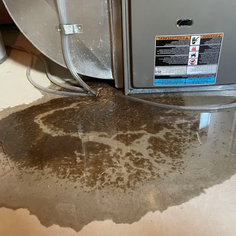 Pipe Burst and Leak Restoration in West Hattiesburg, MS